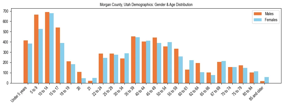 Bar chart showing the population distribution of Morgan County, Utah by age group and gender, based on 2023 ACS data.