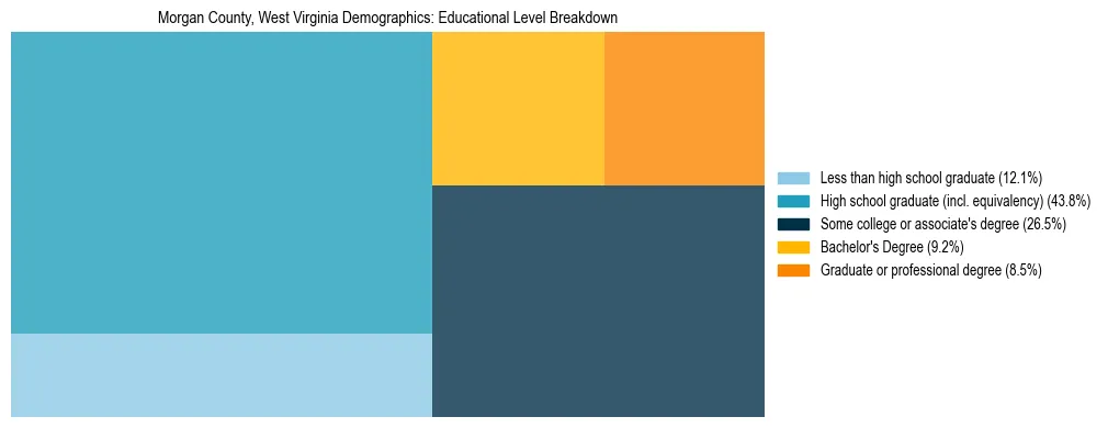 Treemap chart illustrating the educational attainment breakdown for population 25 years and over in Morgan County, West Virginia.