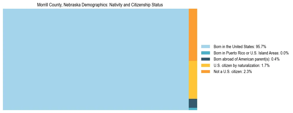 Treemap showing the population distribution by nativity and citizenship status in Morrill County, Nebraska based on U.S. Census data.