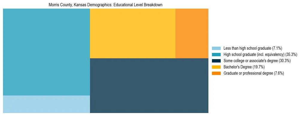 Treemap chart illustrating the educational attainment breakdown for population 25 years and over in Morris County, Kansas.