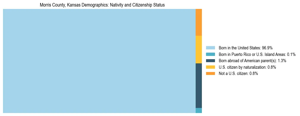 Treemap showing the population distribution by nativity and citizenship status in Morris County, Kansas based on U.S. Census data.