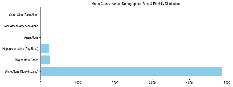 Race and Ethnicity Distribution Chart for Morris County, Kansas