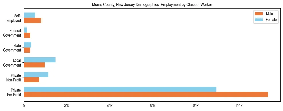 Horizontal bar chart showing employment distribution by class of worker and gender in Morris County, New Jersey, based on 2023 ACS data.