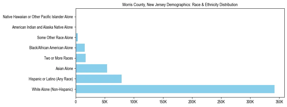 Race and Ethnicity Distribution Chart for Morris County, New Jersey