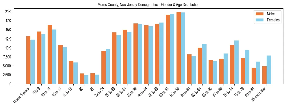 Bar chart showing the population distribution of Morris County, New Jersey by age group and gender, based on 2023 ACS data.