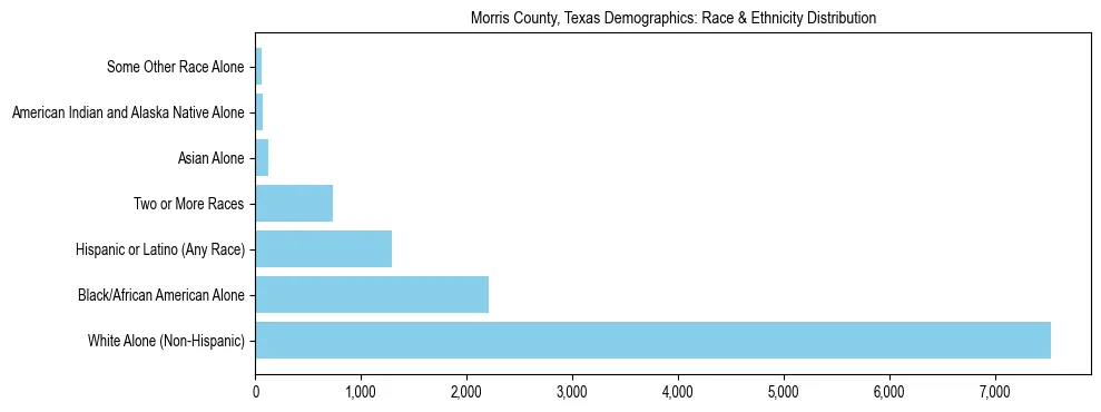 Race and Ethnicity Distribution Chart for Morris County, Texas