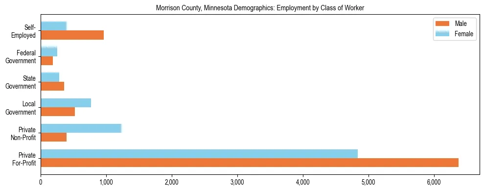 Horizontal bar chart showing employment distribution by class of worker and gender in Morrison County, Minnesota, based on 2023 ACS data.