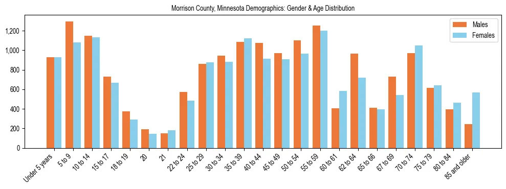 Bar chart showing the population distribution of Morrison County, Minnesota by age group and gender, based on 2023 ACS data.