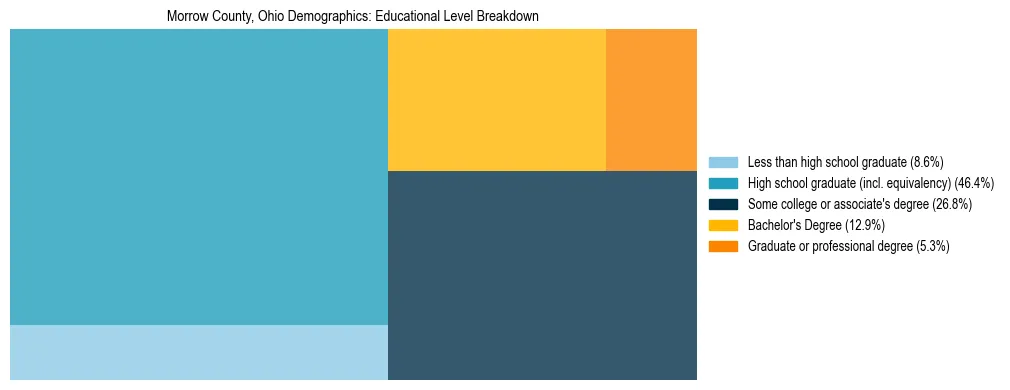 Treemap chart illustrating the educational attainment breakdown for population 25 years and over in Morrow County, Ohio.