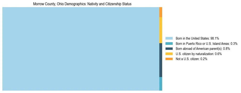 Treemap showing the population distribution by nativity and citizenship status in Morrow County, Ohio based on U.S. Census data.