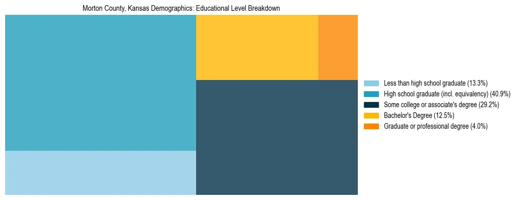 Treemap chart illustrating the educational attainment breakdown for population 25 years and over in Morton County, Kansas.
