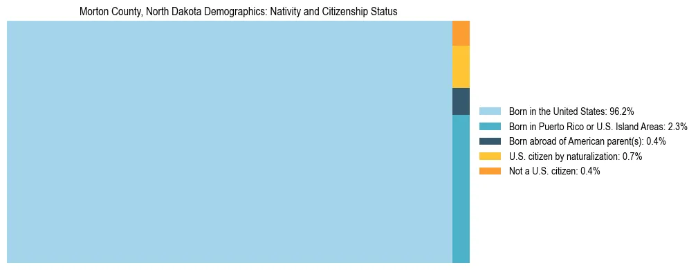 Treemap showing the population distribution by nativity and citizenship status in Morton County, North Dakota based on U.S. Census data.