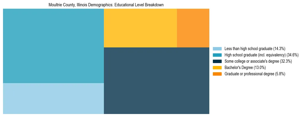 Treemap chart illustrating the educational attainment breakdown for population 25 years and over in Moultrie County, Illinois.