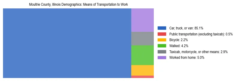 Treemap showing means of transportation to work distribution in Moultrie County, Illinois.