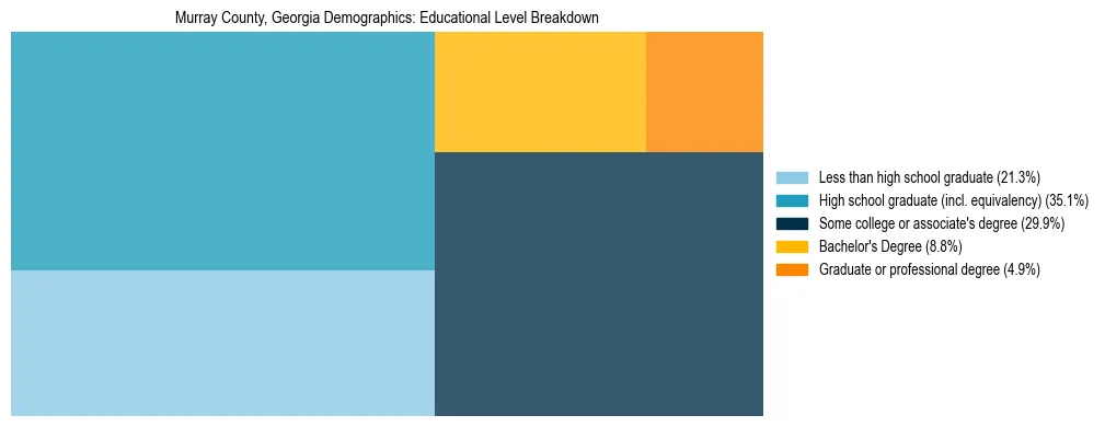 Treemap chart illustrating the educational attainment breakdown for population 25 years and over in Murray County, Georgia.