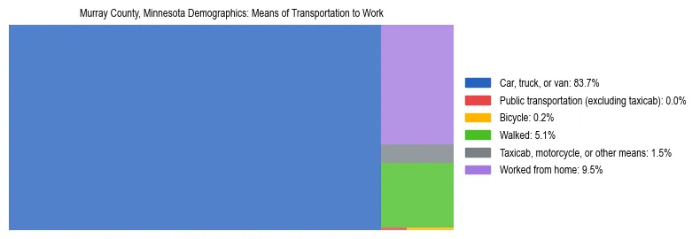 Treemap showing means of transportation to work distribution in Murray County, Minnesota.