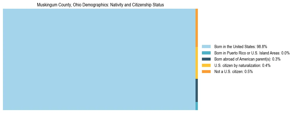 Treemap showing the population distribution by nativity and citizenship status in Muskingum County, Ohio based on U.S. Census data.