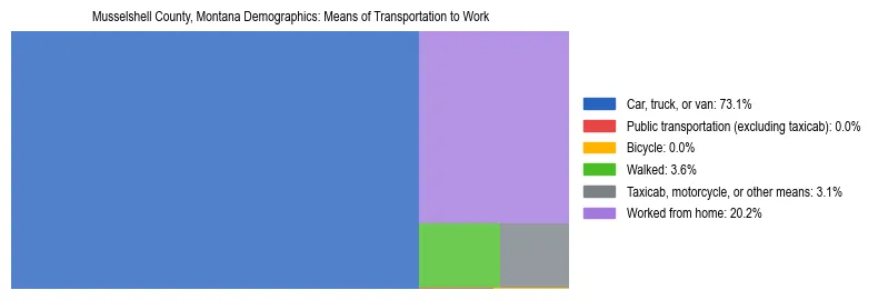 Treemap showing means of transportation to work distribution in Musselshell County, Montana.