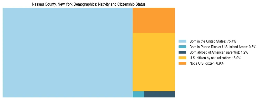 Treemap showing the population distribution by nativity and citizenship status in Nassau County, New York based on U.S. Census data.