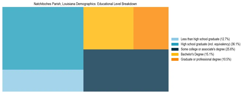 Treemap chart illustrating the educational attainment breakdown for population 25 years and over in Natchitoches Parish, Louisiana.