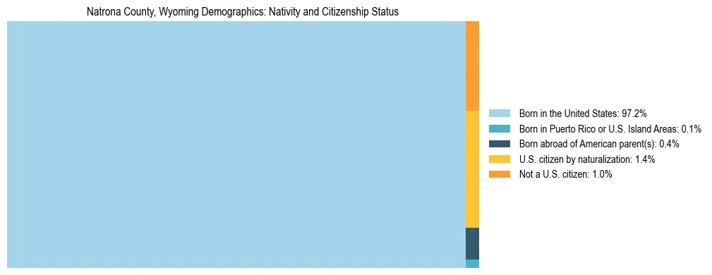 Treemap showing the population distribution by nativity and citizenship status in Natrona County, Wyoming based on U.S. Census data.