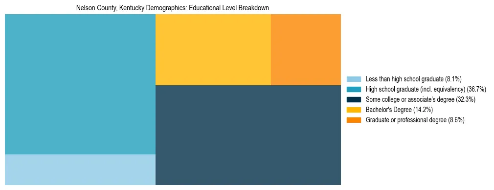 Treemap chart illustrating the educational attainment breakdown for population 25 years and over in Nelson County, Kentucky.