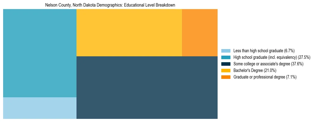 Treemap chart illustrating the educational attainment breakdown for population 25 years and over in Nelson County, North Dakota.