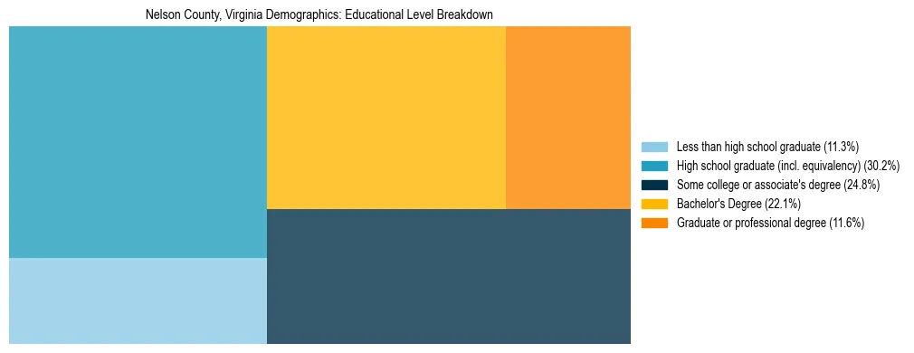 Treemap chart illustrating the educational attainment breakdown for population 25 years and over in Nelson County, Virginia.