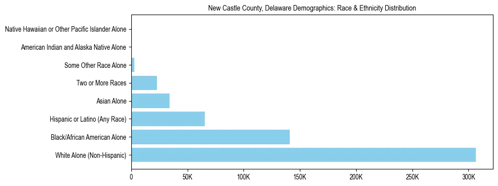 Race and Ethnicity Distribution Chart for New Castle County, Delaware