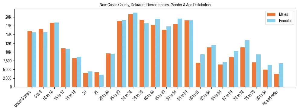 Bar chart showing the population distribution of New Castle County, Delaware by age group and gender, based on 2023 ACS data.