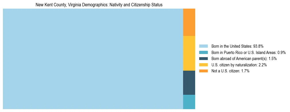 Treemap showing the population distribution by nativity and citizenship status in New Kent County, Virginia based on U.S. Census data.