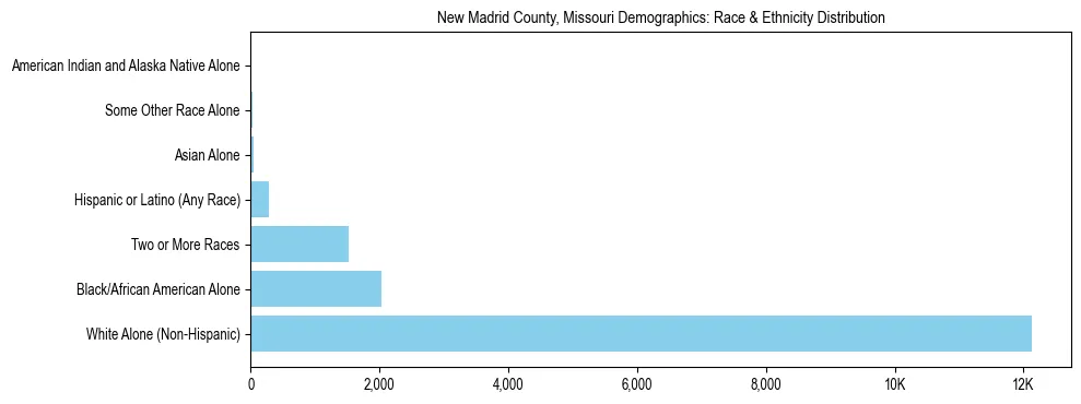 Race and Ethnicity Distribution Chart for New Madrid County, Missouri