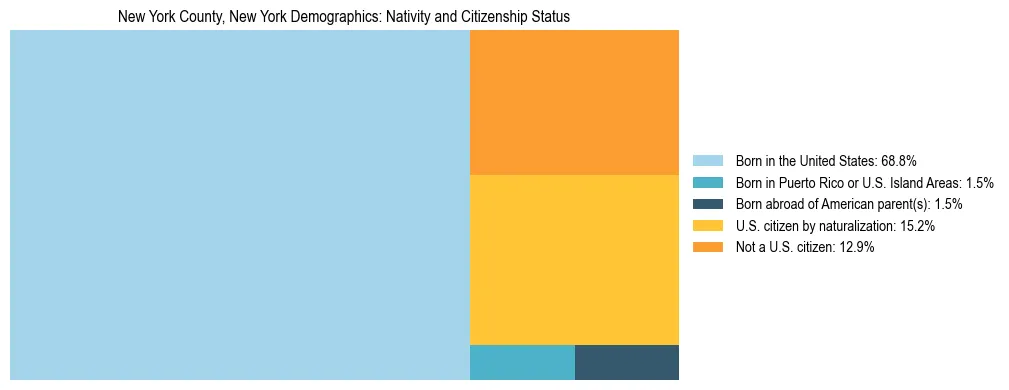 Treemap showing the population distribution by nativity and citizenship status in New York County, New York based on U.S. Census data.