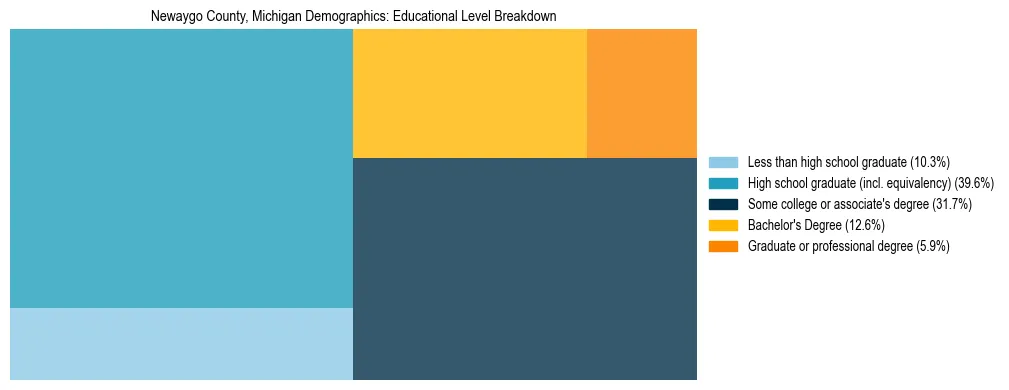 Treemap chart illustrating the educational attainment breakdown for population 25 years and over in Newaygo County, Michigan.