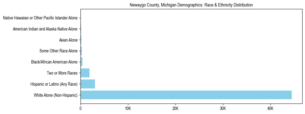Race and Ethnicity Distribution Chart for Newaygo County, Michigan