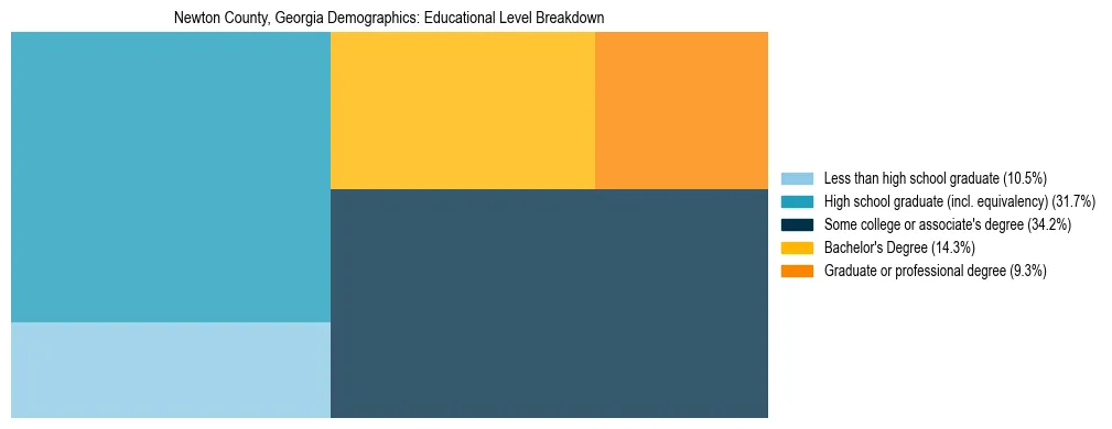 Treemap chart illustrating the educational attainment breakdown for population 25 years and over in Newton County, Georgia.