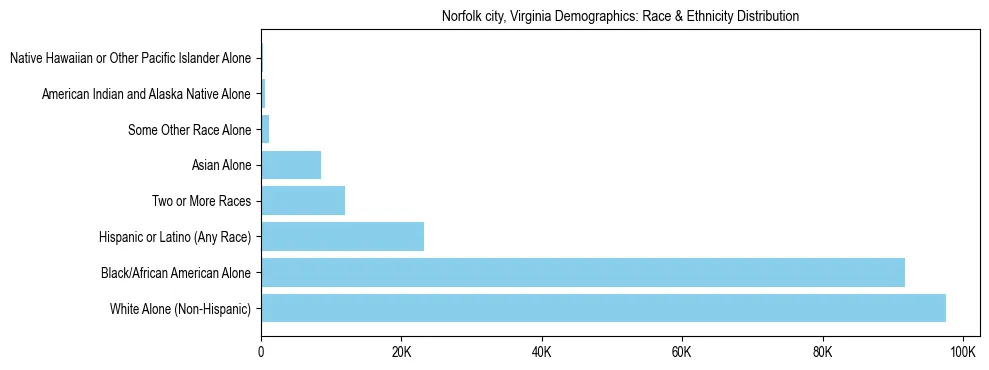 Race and Ethnicity Distribution Chart for Norfolk city, Virginia