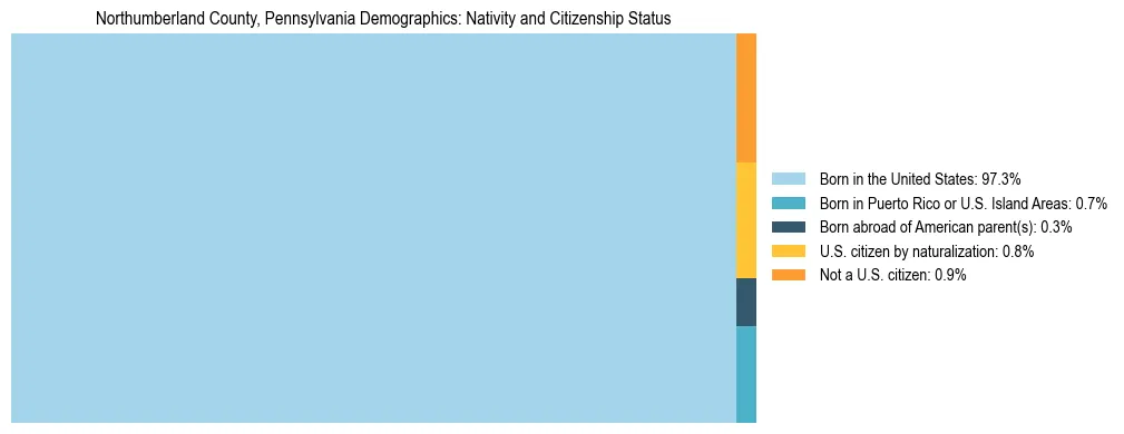 Treemap showing the population distribution by nativity and citizenship status in Northumberland County, Pennsylvania based on U.S. Census data.