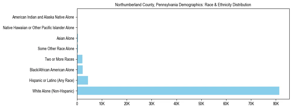 Race and Ethnicity Distribution Chart for Northumberland County, Pennsylvania