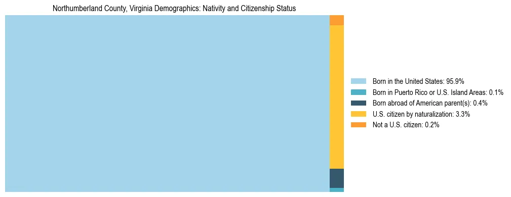Treemap showing the population distribution by nativity and citizenship status in Northumberland County, Virginia based on U.S. Census data.