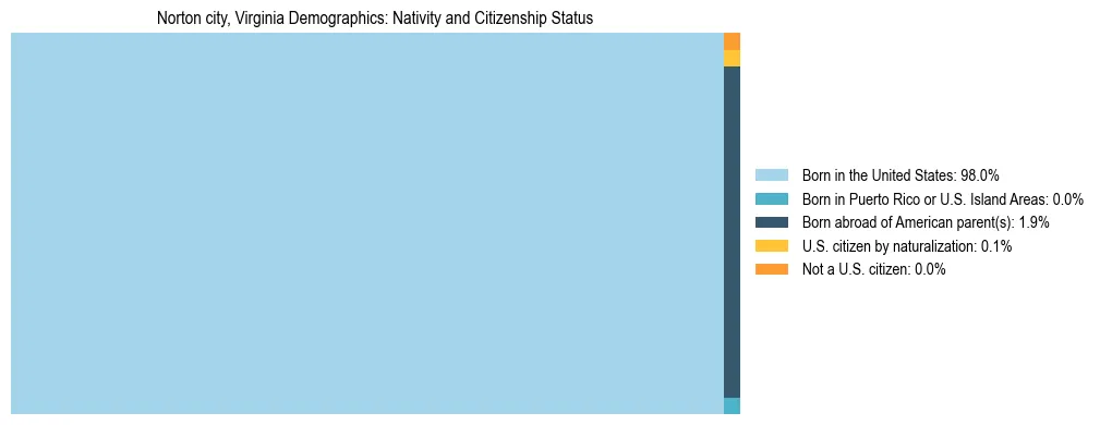 Treemap showing the population distribution by nativity and citizenship status in Norton city, Virginia based on U.S. Census data.
