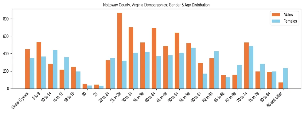 Bar chart showing the population distribution of Nottoway County, Virginia by age group and gender, based on 2023 ACS data.