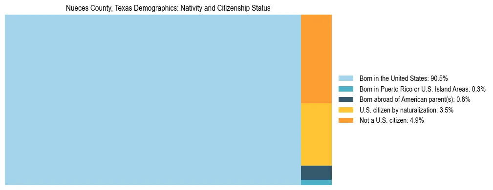 Treemap showing the population distribution by nativity and citizenship status in Nueces County, Texas based on U.S. Census data.