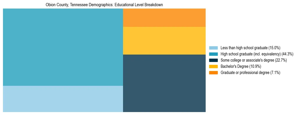 Treemap chart illustrating the educational attainment breakdown for population 25 years and over in Obion County, Tennessee.