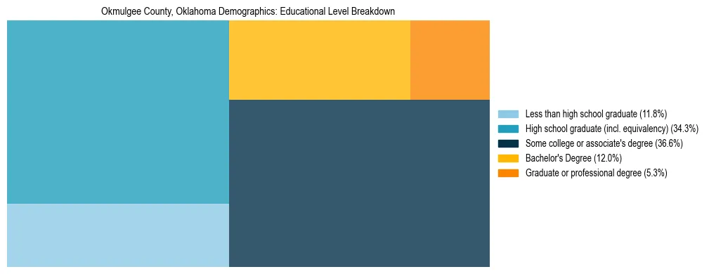 Treemap chart illustrating the educational attainment breakdown for population 25 years and over in Okmulgee County, Oklahoma.