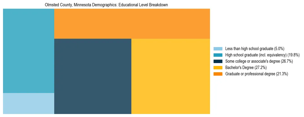 Treemap chart illustrating the educational attainment breakdown for population 25 years and over in Olmsted County, Minnesota.