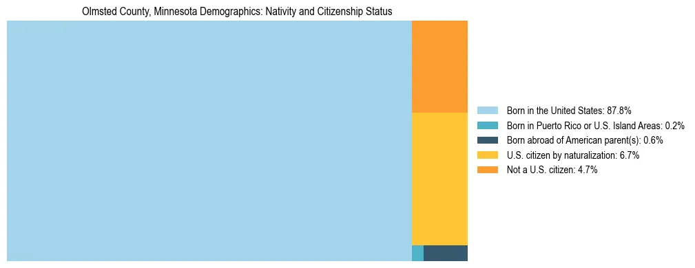 Treemap showing the population distribution by nativity and citizenship status in Olmsted County, Minnesota based on U.S. Census data.