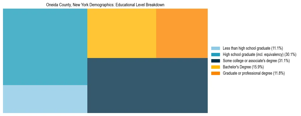 Treemap chart illustrating the educational attainment breakdown for population 25 years and over in Oneida County, New York.