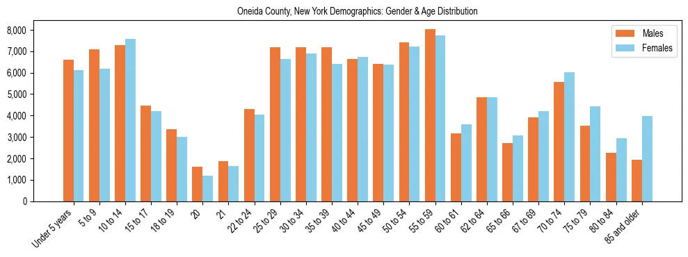 Bar chart showing the population distribution of Oneida County, New York by age group and gender, based on 2023 ACS data.