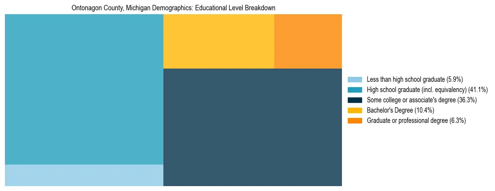 Treemap chart illustrating the educational attainment breakdown for population 25 years and over in Ontonagon County, Michigan.